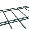 Powder Coated Double Wire Welded Mesh Fence 868 656 Galvanized Double Welded Wire Mesh Fence