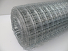 galvanized welded wire mesh roll for industry