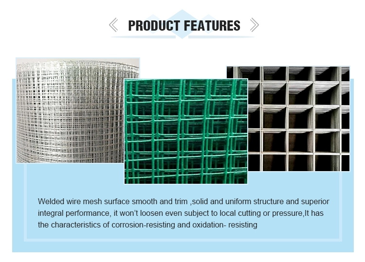 Welded Wire Mesh