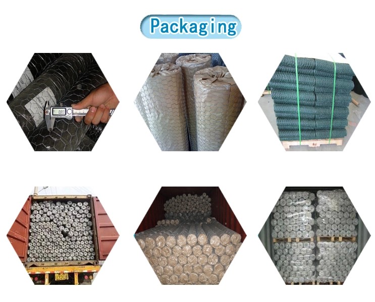 Hexagonal wire mesh (36)