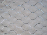 Hexagonal Wire Mesh