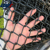 Protecting Mesh Black Low-carbon Iron Wire Chain Link Fence