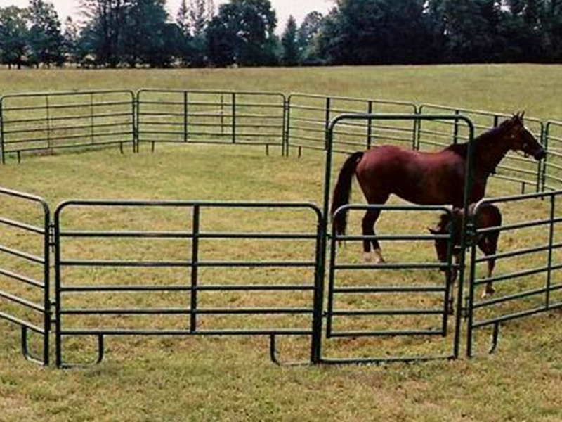 Corral Panel