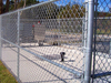 Chain Link Fence