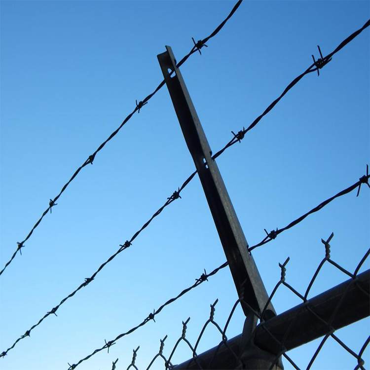 barbed wire