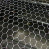 mesh 31mm x 1.0mm/1.2mm x 50m Hexagonal Wire Mesh 