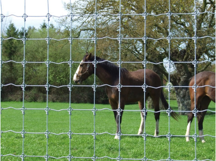 The ultimate guide to planning your farm fence