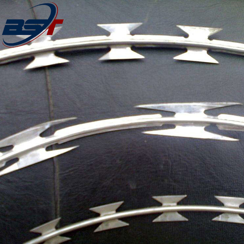 CBT65 BTO22 SS304 Razor Wire for International Borders