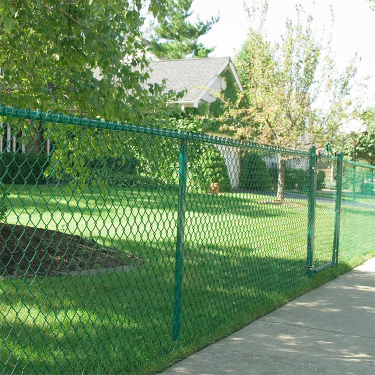 chain link fence (7)