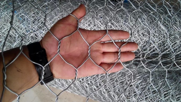 Hexagonal wire mesh (2)