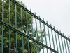 Professional 55*100mm Double Wire Fence For Garden