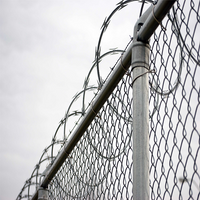 PVC Coated Chain Link Fence with Razor Wire for Border