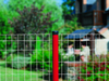 Euro Fencing (Holland Mesh Fencing)