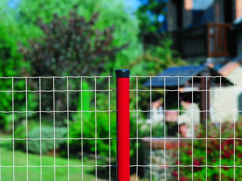 Euro Fencing (Holland Mesh Fencing)