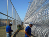 Razor Wire