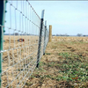 Durable T Post Fence Support Posts Farm Fence