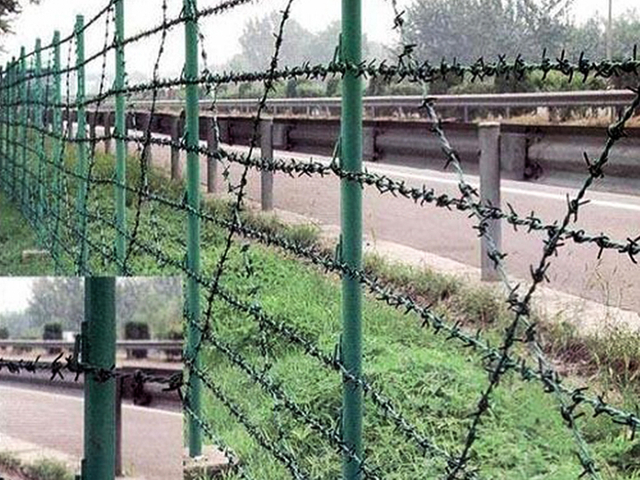 14ga Glavanized Barbed Wire with Chain Link Fence