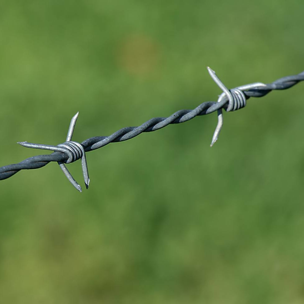 barbed wire 