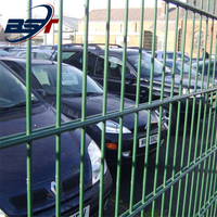 ornamental professional 868 Double Wire Fence