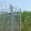 PVC Coated Chain Link Fence with Razor Wire for Border