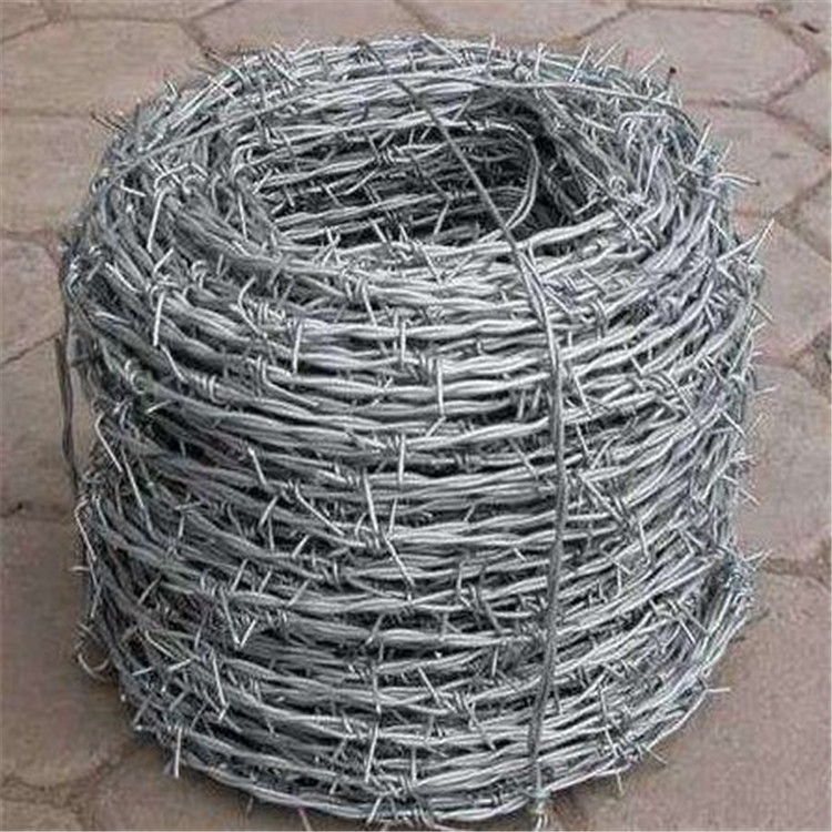 barbed wire (48)