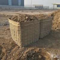 Gabion Barrier