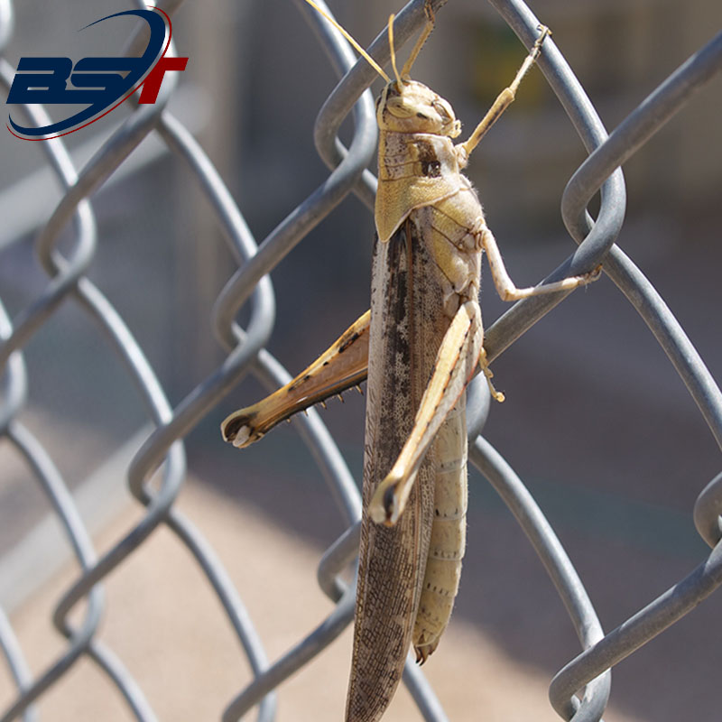 5 Essential Benefits of Installing a Chain Link Fence